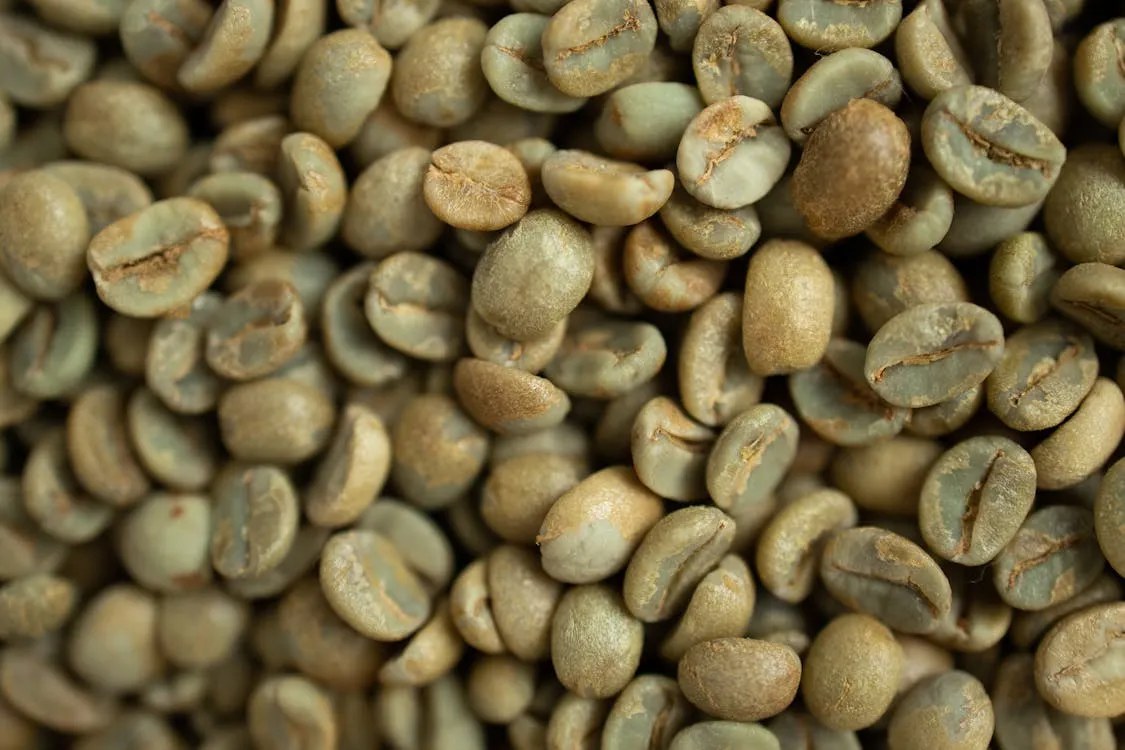 Nekemte coffee